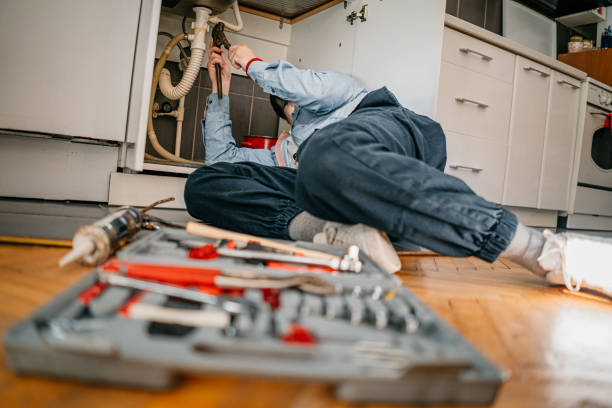 Best Affordable Plumbing Services  in Battle Creek, NE