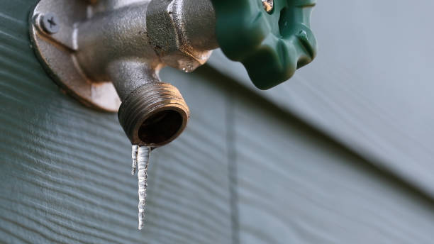 Best Septic Systems  in Battle Creek, NE